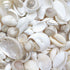 1 kg small white and pearl seashell mix